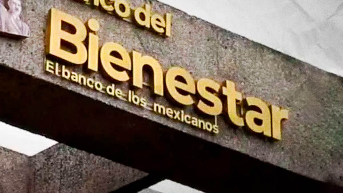 Bienestar Tendr Titular Cuando Acaben Renuncias Por Elecciones En