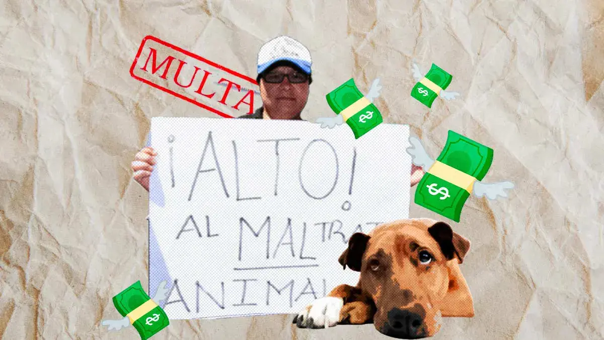 Buscan que dueños paguen gastos por maltrato o abandono de sus mascotas en Hidalgo.