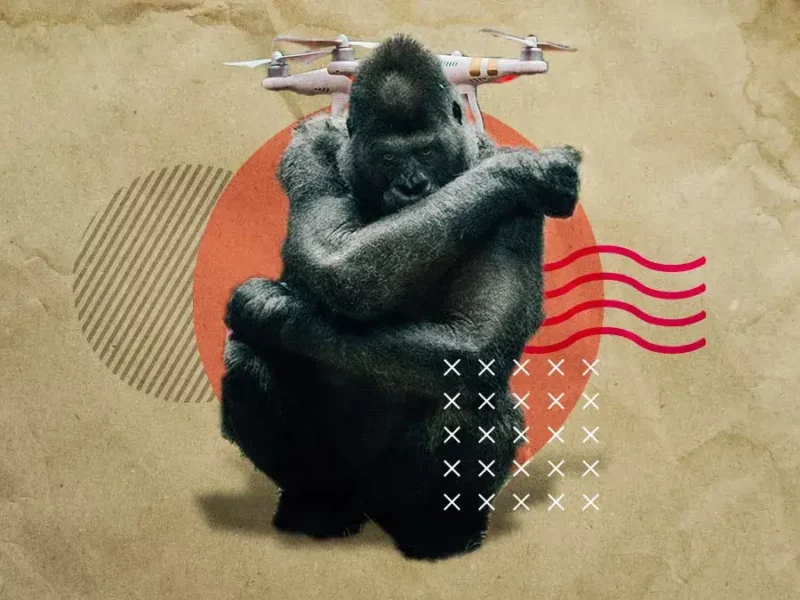 Gorila de Villa de Tezontepec podría ser falso; lo buscan hasta con drones.