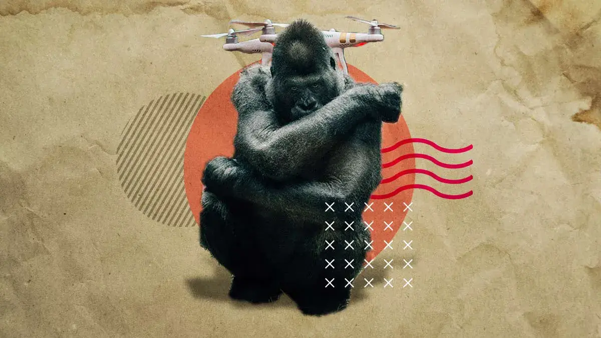 Gorila de Villa de Tezontepec podría ser falso; lo buscan hasta con drones.