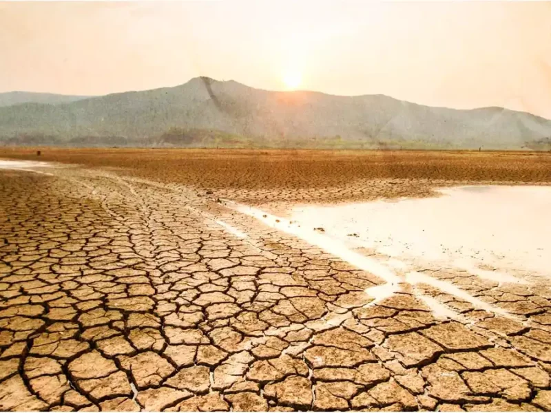 Sequía afecta 25 mil hectáreas de siembra en Hidalgo.