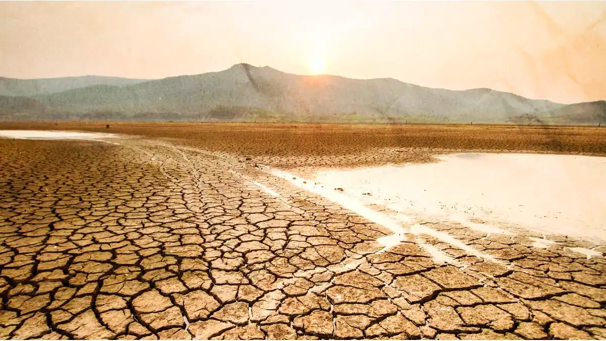 Sequía afecta 25 mil hectáreas de siembra en Hidalgo.
