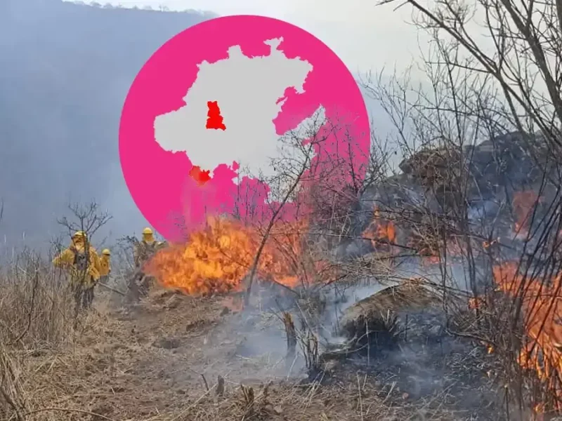 Arrecian incendios en Tepeji e Ixmiquilpan; autoridades reconocen complicaciones 