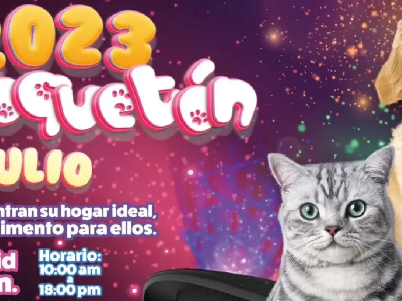 Croquetón 2023, asiste a donar croquetas por gatos y perros sin hogar en Pachuca.