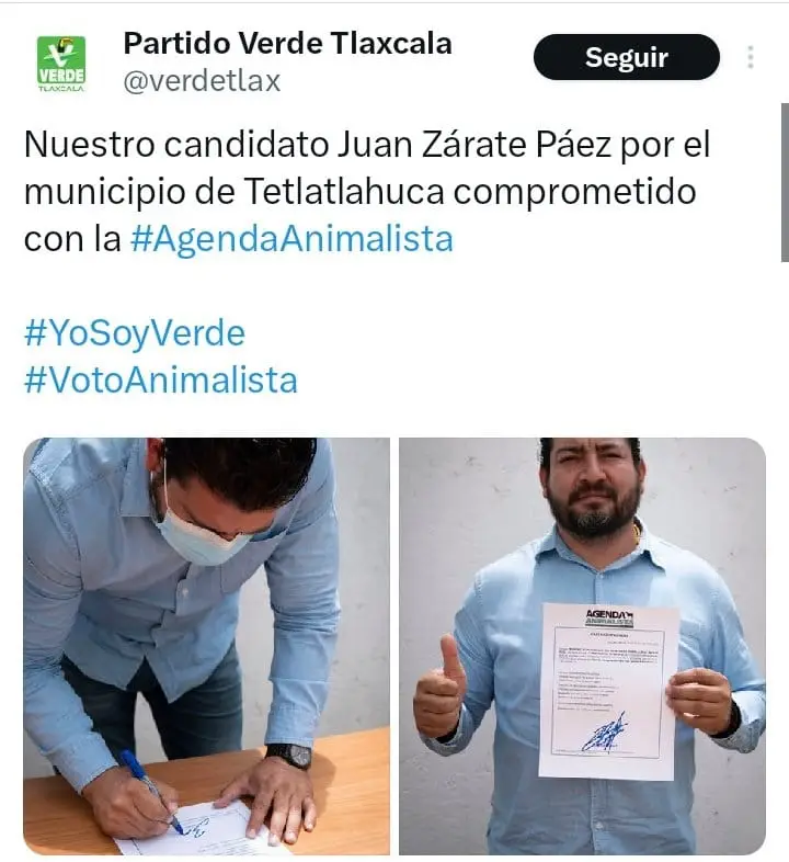 Excandidato del Partido Verde mata a perro en Tlaxcala; se deslindan de él.