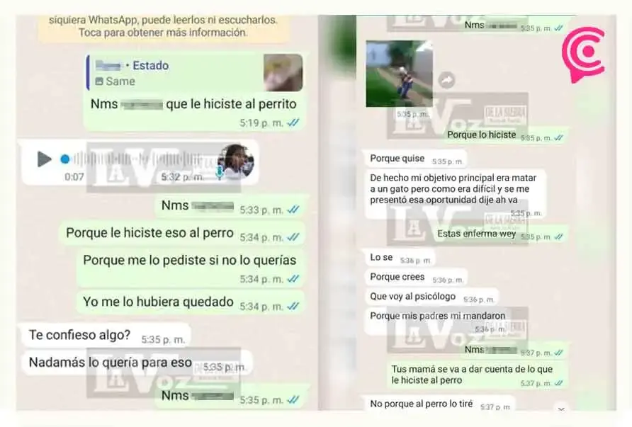 Estudiante en Puebla mata y tortura a perro por “diversión”.