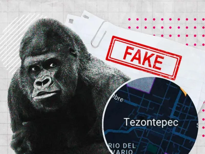 Confirman que gorila de Villa de Tezontepec en Hidalgo es falso.