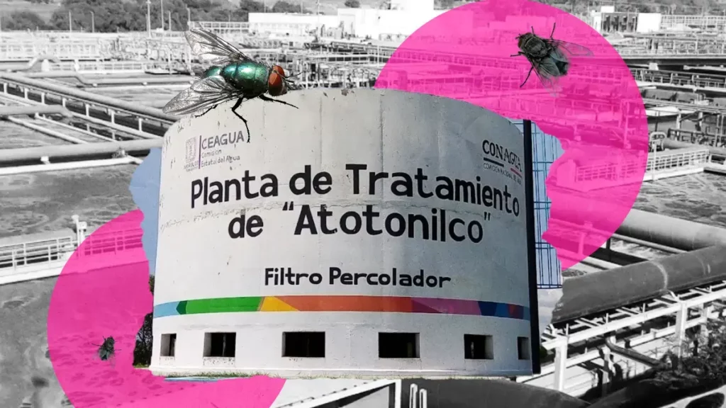 Planta tratadora de Atotonilco de Tula genera problemas sanitarios; Profepa intervendrá.