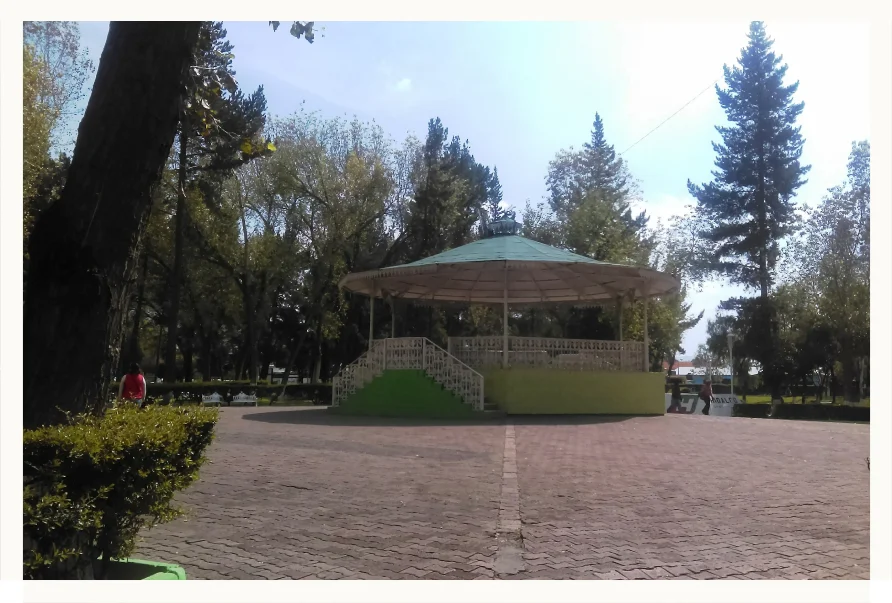 Remodelarán jardín de Plaza Juárez en Pachuca; hasta área para mascotas tendrá.