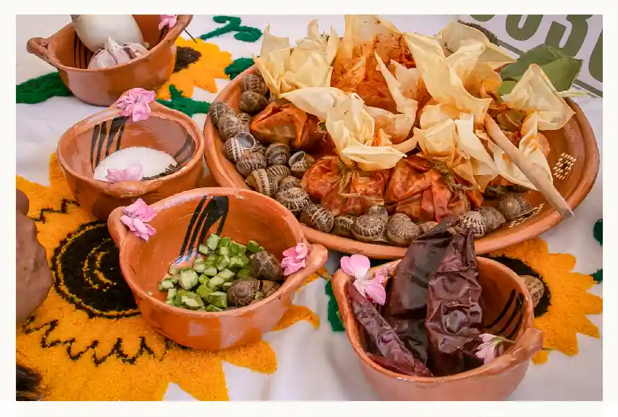 Cocineras hidalguenses pasan a final gastronómica con platillos típicos de Hidalgo