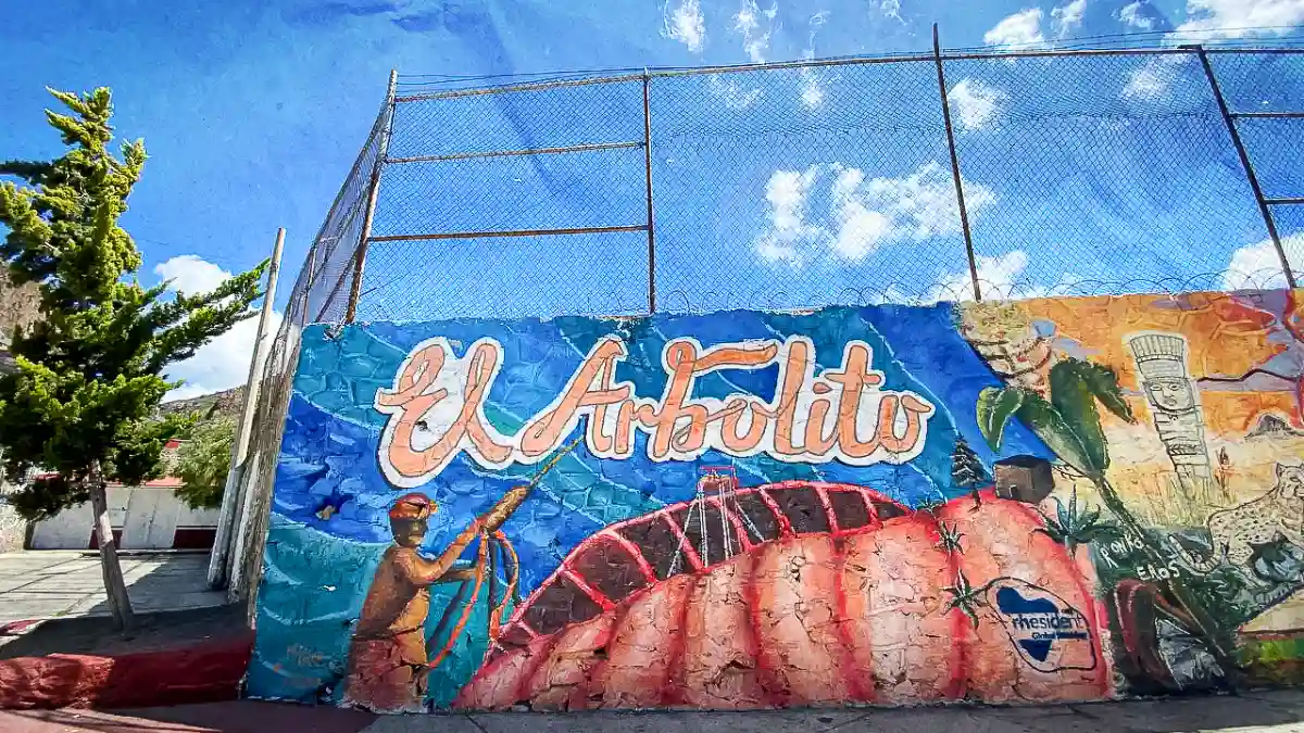 Para mejorar “vista”, pintarán 500 casas de “El Arbolito”, en Pachuca.