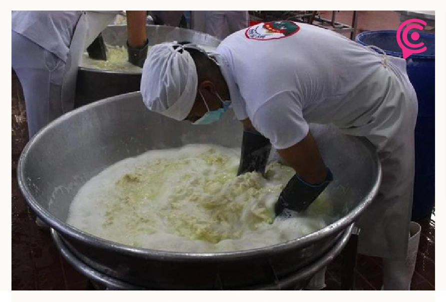 Rompen récord en Hidalgo; elaboran el quesillo más grande del mundo
