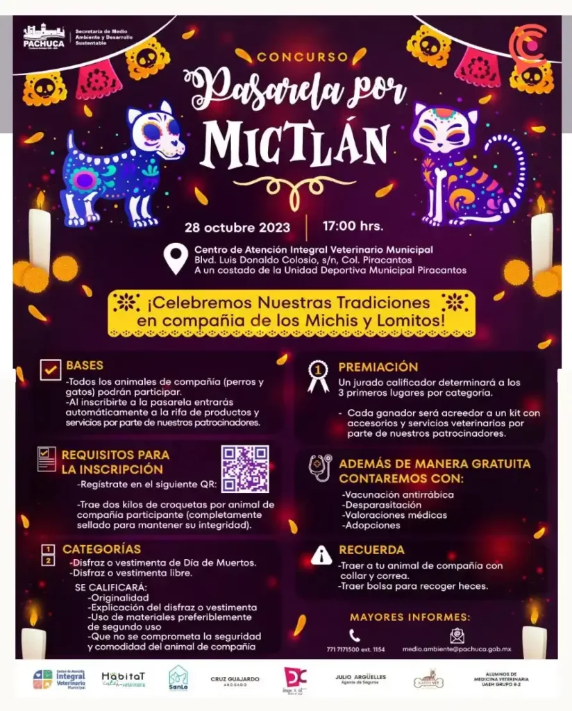 Participa en el concurso de disfraces “Pasarela por Mictlán” con tu mascota en Pachuca.