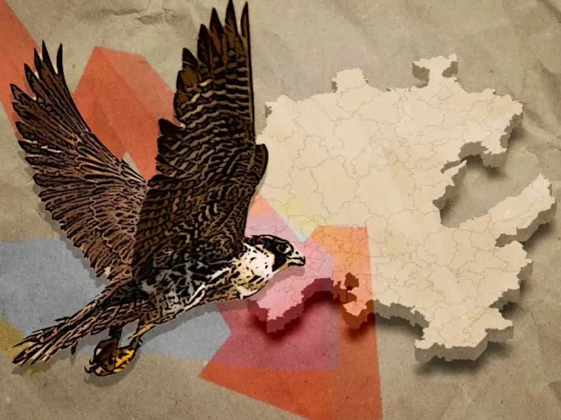 Buscan disminuir la presencia de “halcones” del crimen organizado en Hidalgo
