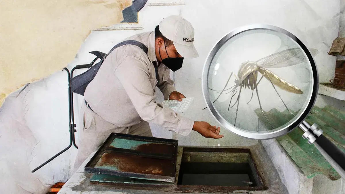 Aumenta dengue a más de 600 casos en Hidalgo