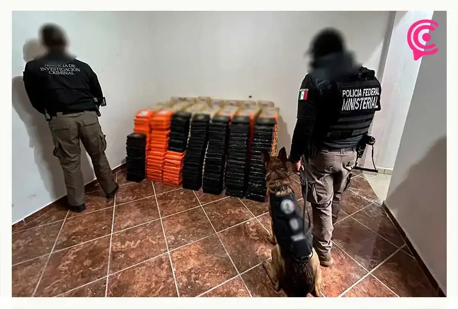 En operativo, decomisan casi tonelada y media de cocaína en Tula de Allende, Hidalgo