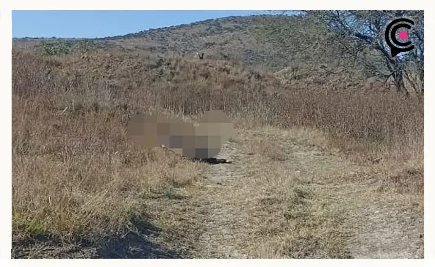 Encuentran cuerpo de hombre decapitado en terreno baldío de Atotonilco de Tula