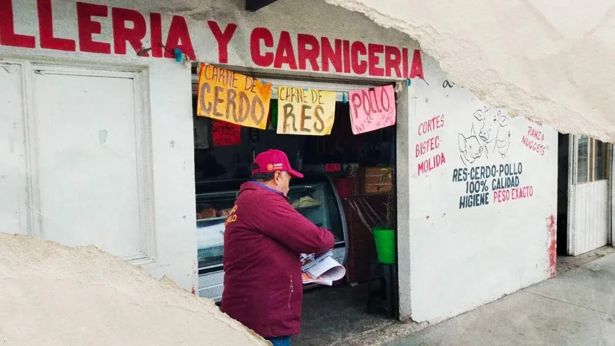 Decomisan 350 kilos de carne tras muerte masiva de ganado por alimento contaminado en Hidalgo