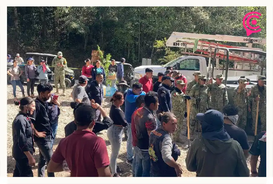 Evacúan a familias por el incendio en el Parque Nacional de Mineral el Chico