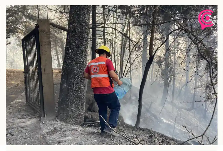 Evacúan a familias por el incendio en el Parque Nacional de Mineral el Chico