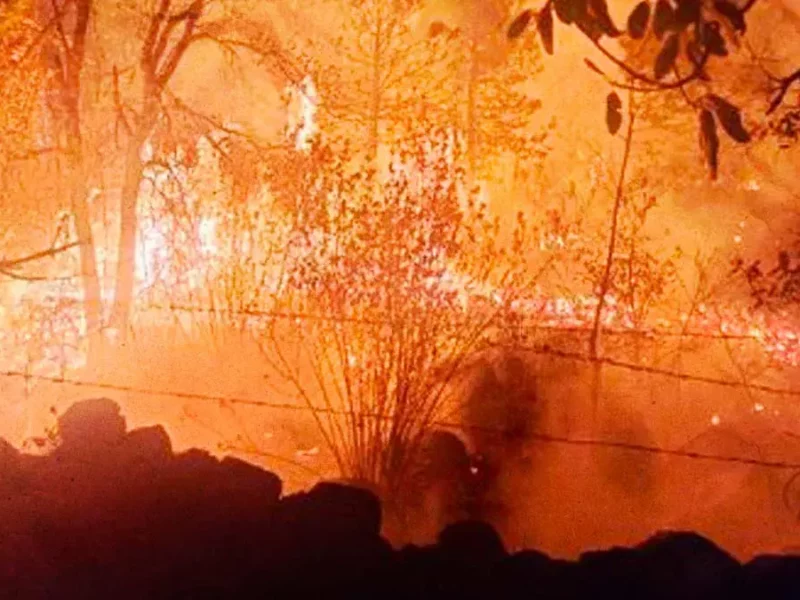 Existen 58 incendios forestales activos en México; tres son en Hidalgo