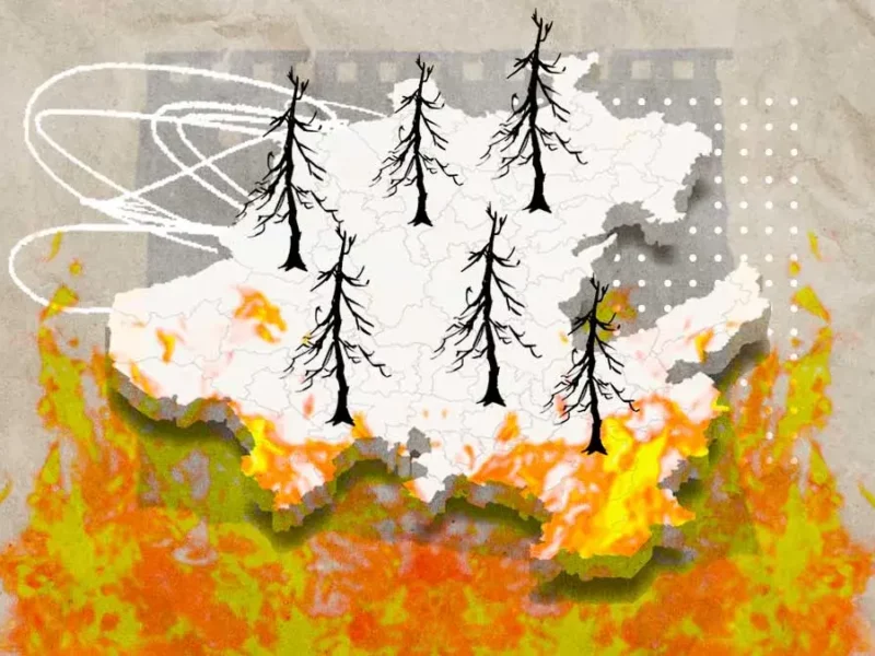 Incendios forestales consumen más de 3 mil 400 hectáreas en Hidalgo