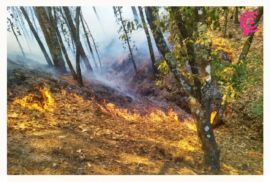 Incendio en el Parque Nacional el Chico, en Hidalgo.