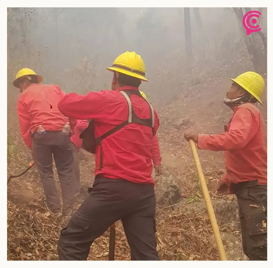 Controlan el incendio forestal de Nicolás Flores tras una semana activo en Hidalgo
