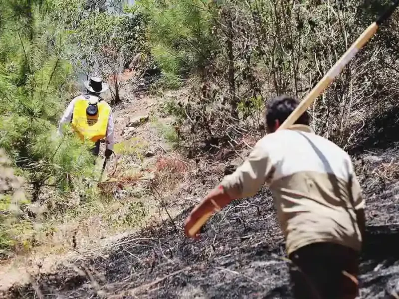 Ahora, registran incendio forestal en Tlanchinol; pobladores piden ayuda para contener fuego
