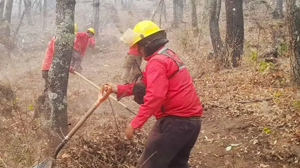 Controlan el incendio forestal de Nicolás Flores tras una semana activo en Hidalgo