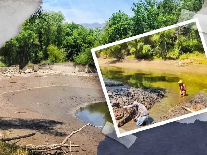 Cultivos se quedan sin agua por sequía en río de Metztitlán, en Hidalgo