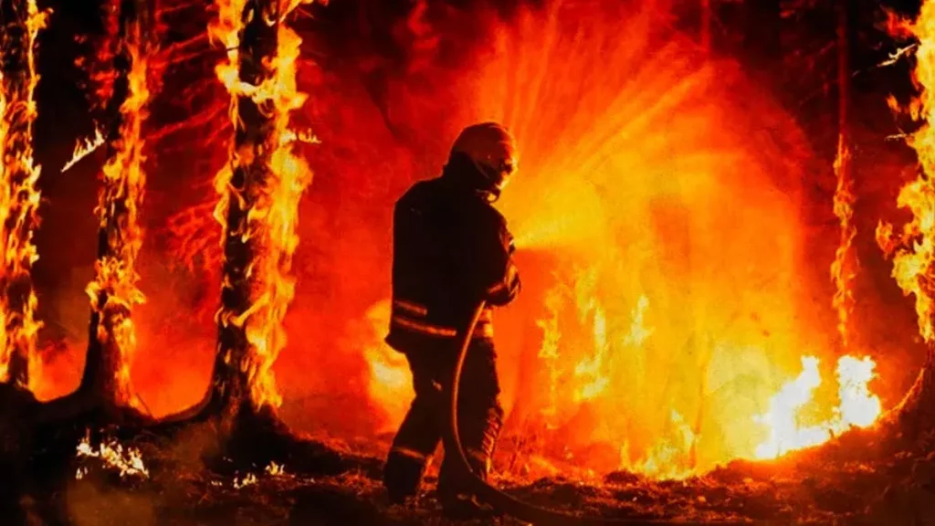 Suman 104 incendios en Hidalgo en los primeros cuatro meses del 2024