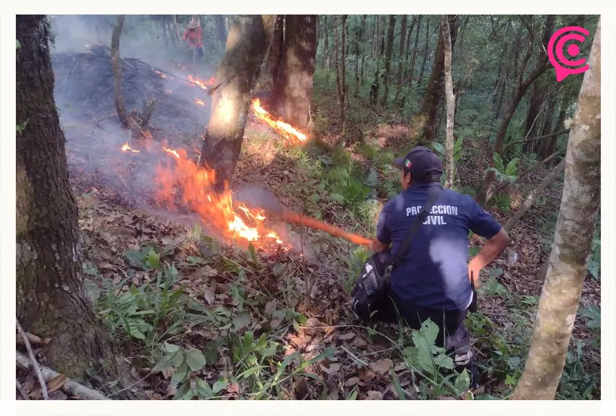 Cuatro incendios forestales continúan activos en Hidalgo; autoridades ya los tienen bajo control