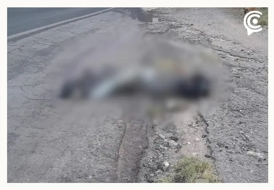 Feminicidio 17: Encuentran cuerpo de mujer embolsado en Tula de Allende, Hidalgo 