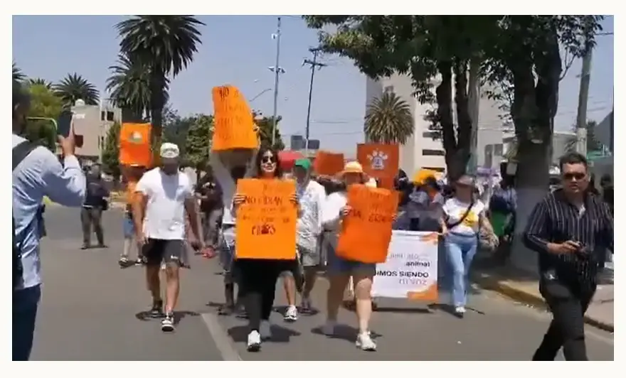 Marcha contra el maltrato animal en Hidalgo.