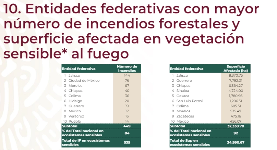 Hidalgo es el sexto estado con más incendios forestales en zonas de vegetación sensible 