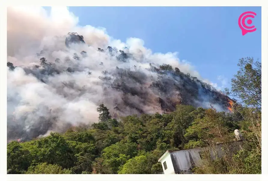 Nuevo incendio forestal en Tenango de Doria arrasa con 30 hectáreas