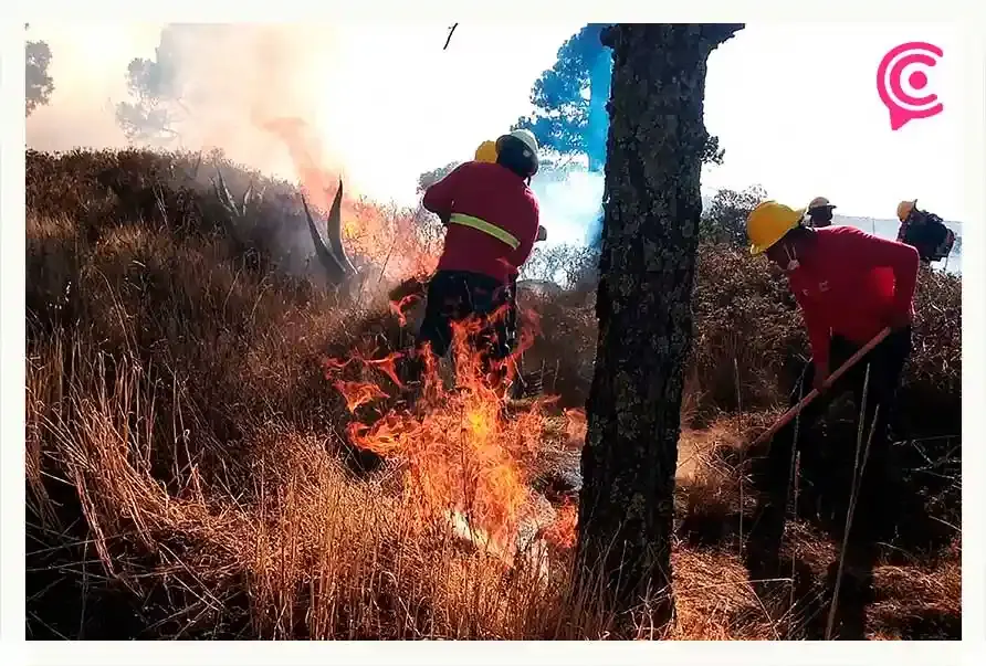Controlan dos incendios forestales en Hidalgo que llevaban días activos