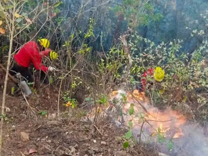Se incendia el Cerro Brujo de Tenango de Doria; no logran sofocar las llamas