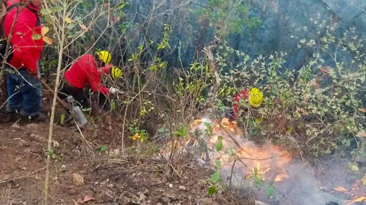 Se incendia el Cerro Brujo de Tenango de Doria; no logran sofocar las llamas