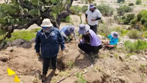 Tras realizar excavaciones, hallan restos óseos en el cerro del Chililete, en Hidalgo.