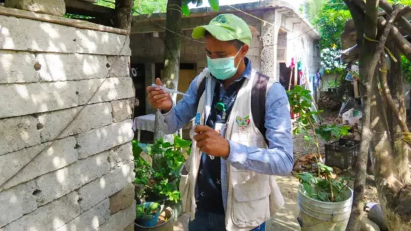 Aumentan en un 71% los casos de dengue en Hidalgo
