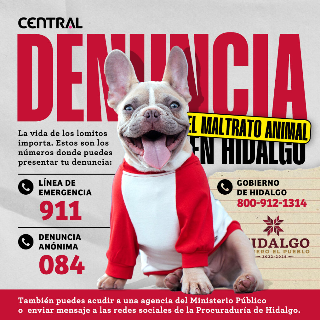 Maltrato animal