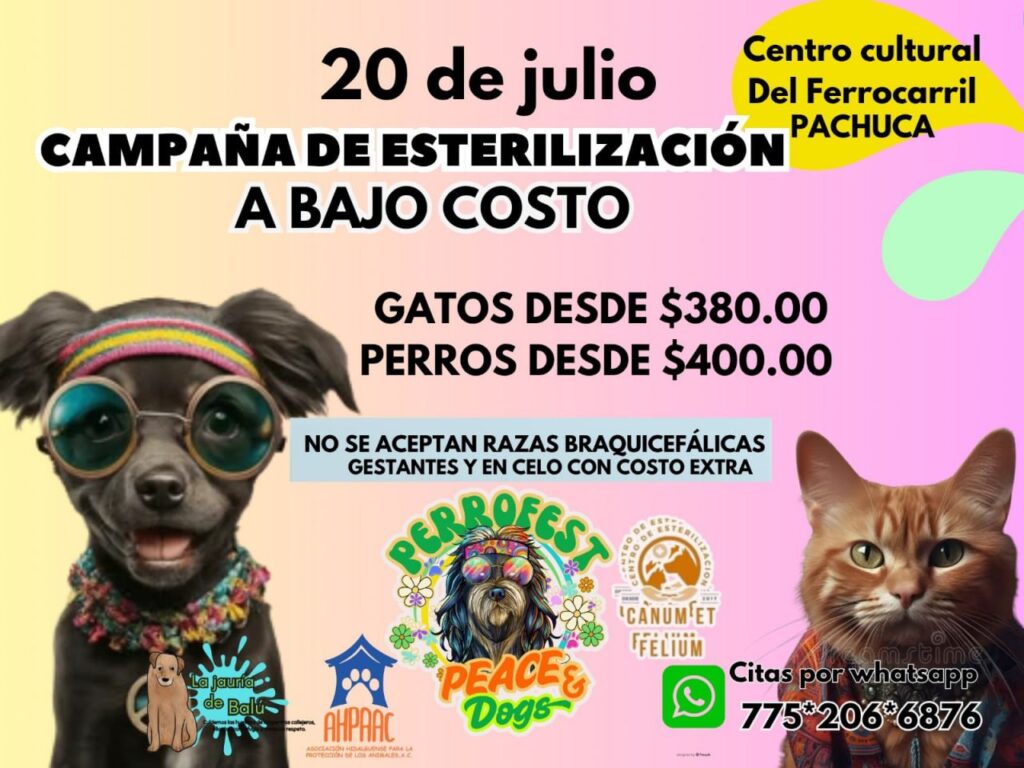 Anuncian la sexta edición del “Perrofest” en Pachuca